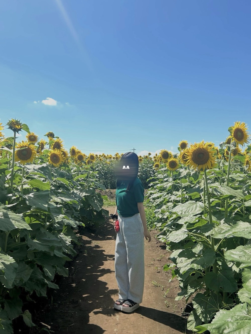「UNIQLO、UNIQLOC、スウェットパンツ、スウェット、ポロシャツ、Polo Ralph Lauren、POLO、ポロラルフローレン、NIKE、サンダル、夏コーデ、緑、グリーン、ラフコーデ、高校生」｜「NIKEのナイキ NIKE ナイキ アイコン クラシック サンダル（サンダル、ブラック系）」を使った、ゆさん（骨格ウェーブ・レディース・159cm）の夏コーディネートの1枚目の写真