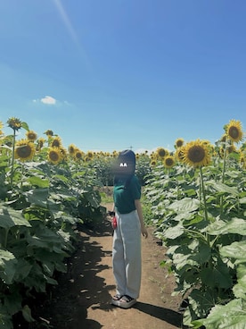 「アイテム（ポロシャツ）」を使った、ゆさん（レディース・159cm）の夏コーディネート