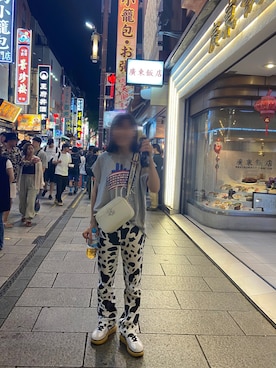 POLO RALPH LAURENのショルダーバッグ（ホワイト系）を使った