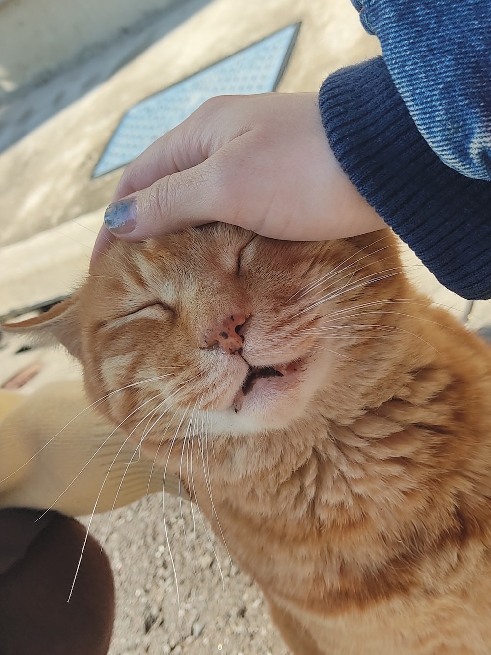 ブルー系のブルゾン、レッド系のショルダーバッグ、ブラック系のスウェットを着用したレディースの冬コーディネートの2枚目の写真