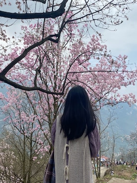 yiigogoさん(レディース・161cm)の春コーディネート