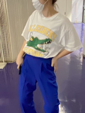 「DISCOAT（ディスコート）のアイテム（スラックス、ブルー系）」を使った、aさん（レディース・160cm）の夏コーディネート