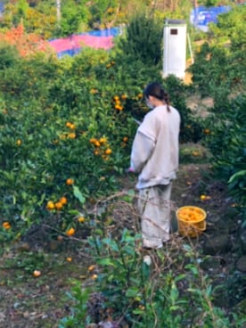 あやかさんのコーディネート