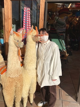 airiyadeさんのコーディネート