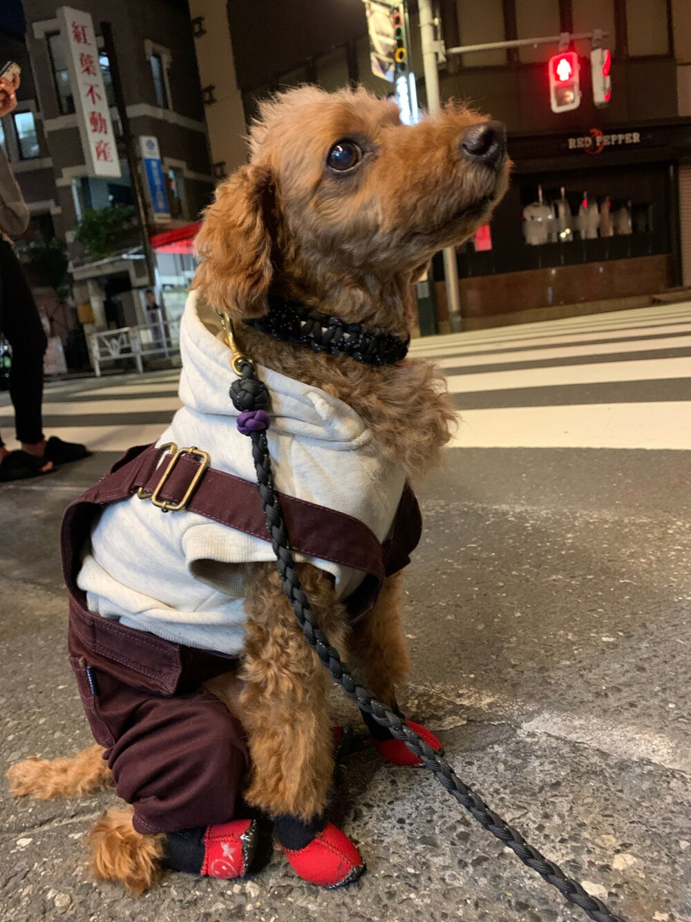「MANDARINE BROTHERSのアイテム（つなぎ/オールインワン、ブラウン系）」を使った、Richard(リチャード・犬)さん（メンズ・178cm）の秋コーディネートの1枚目の写真