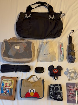 「ear PAPILLONNER（イアパピヨネ）のアイテム」を使った、わたさんさん（レディース・167cm）の冬コーディネート