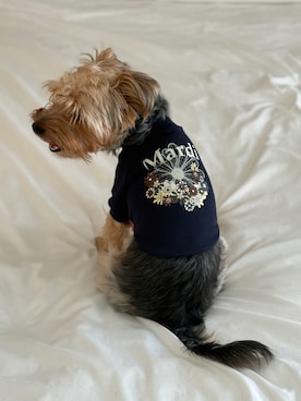 Mardi_Daikanyamaさんのコーディネート