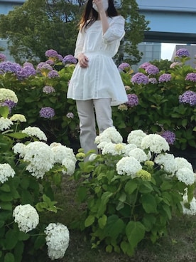 Aenさんのコーディネート