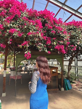 「H&M（エイチ・アンド・エム）のアイテム（ワンピース/ドレス）」を使った、BAKKI__さん（レディース・165cm）の冬コーディネート