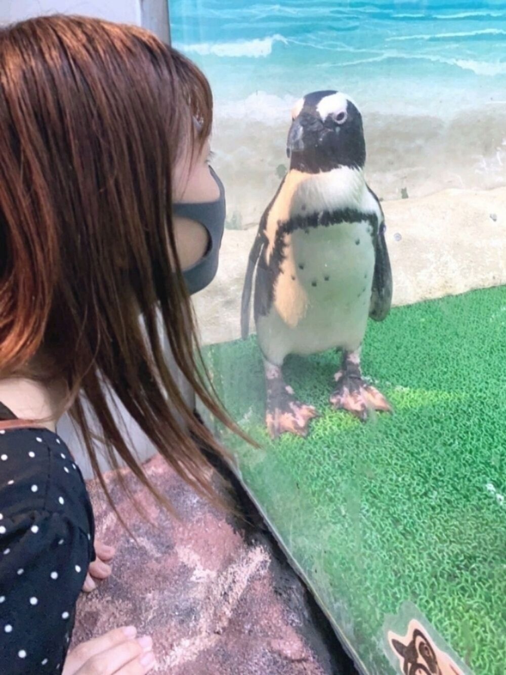 「初投稿、デート」｜「Penguinのアイテム（ペットグッズ、ブラック系）」を使った、pimelityさん（レディース・270cm）の秋コーディネートの1枚目の写真