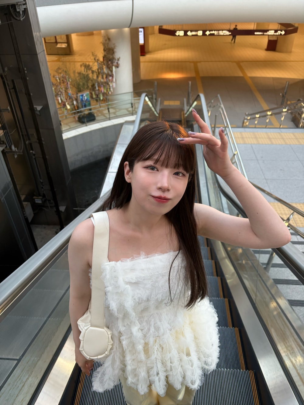 SNIDEL チュール刺繍ベアペプラム TOPS ピンク SNIDEL チュール刺繍ベアペプラムTOPS 完売
