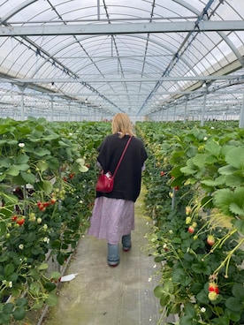 みみみさんのコーディネート