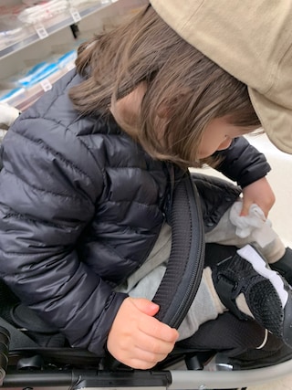 THE NORTH FACE（ザノースフェイス）の「ザ・ノース・フェイス
