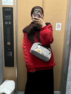 「アイテム（ストール/ショール）」を使った、nkさん（レディース・157cm）の秋コーディネート