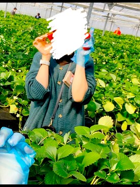 ぴんさんのコーディネート