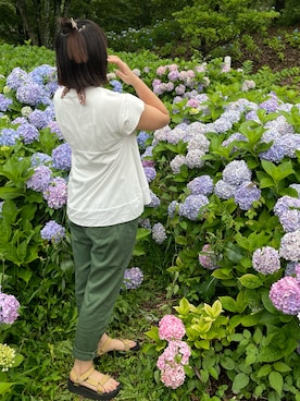 ひまわり꒡̈⃝さん（レディース・162cm）の夏コーディネート