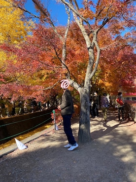 peninoriさん（メンズ・180cm）の冬コーディネート