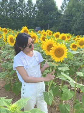 サングラスを使った ひまわり畑 の人気ファッションコーディネート Wear