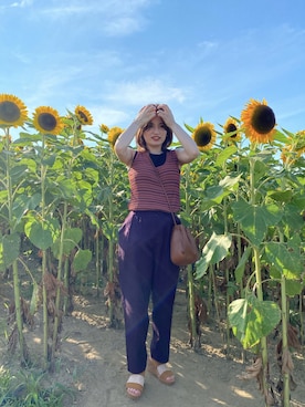 「ひまわり畑」｜「アイテム（パンツ）」を使った、chiyoさん（レディース・157cm）の夏コーディネート