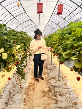 pinkyさんのコーディネート