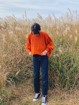 「アイテム（デニムパンツ、その他）」を使った、seaさん（レディース・163cm）の秋コーディネート