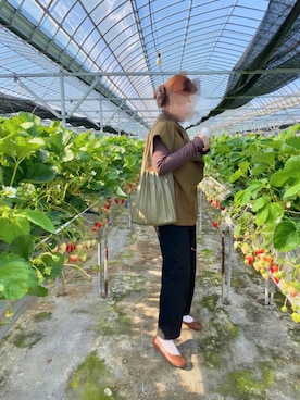  あいさんのコーディネート