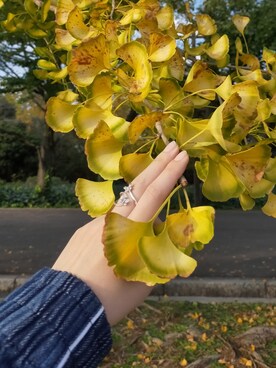 OMIさんのコーディネート