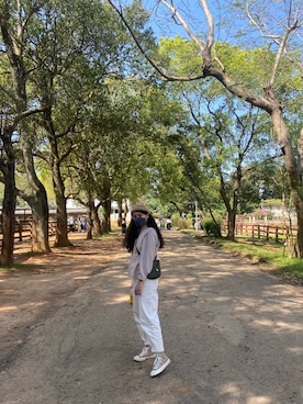 진さんのコーディネート