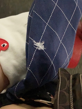 「BURBERRY（バーバリー）のアイテム（トップス、ブルー系）」を使った、mn73さん（レディース・156cm）の夏コーディネート