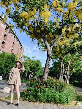 「RAINBOW（レインボー）のアイテム」を使った、Olive Yangさん（レディース・170cm）の夏コーディネート