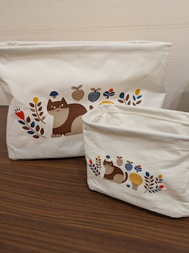 「アイテム（収納グッズ）」を使った、MMさん（メンズ・100cm）の春コーディネート