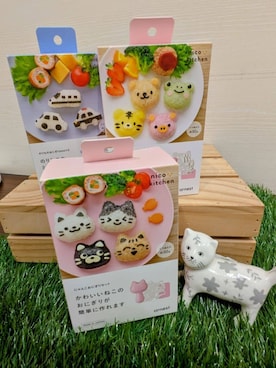 「アイテム（キッチンツール）」を使った、MMさん（メンズ・100cm）の春コーディネート