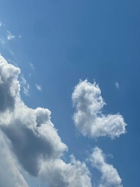 「LE CIEL BLEU（ルシェルブルー）のアイテム（スカート）」を使った、TOM🌙さん（レディース・170cm）の夏コーディネート