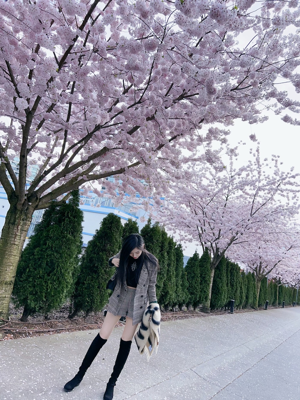 CHANELのブローチ/コサージュ（ホワイト系）を使った人気