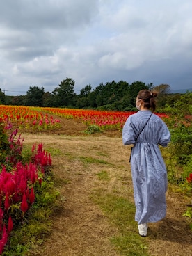「ストライプワンピース」｜「アイテム（財布/小物）」を使った、sayakaさん（レディース・159cm）の秋コーディネート