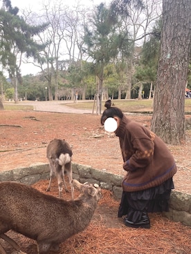 アキさんのコーディネート