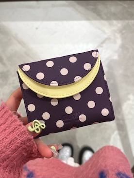 「アイテム（財布）」を使った、ささかまさん（レディース・165cm）の秋コーディネート