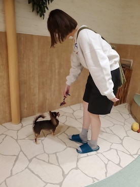 ほたてさんのコーディネート