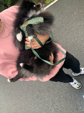 よたさんのコーディネート