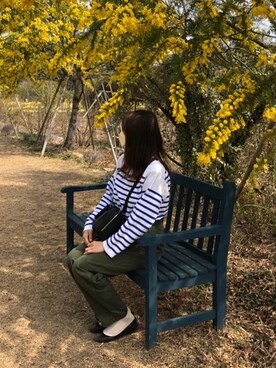 しろくまさんのコーディネート