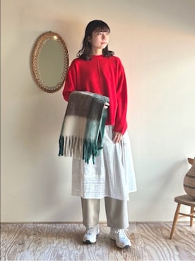 「アイテム（スカート）」を使った、bulle de savonさん（レディース・172cm）の冬コーディネート
