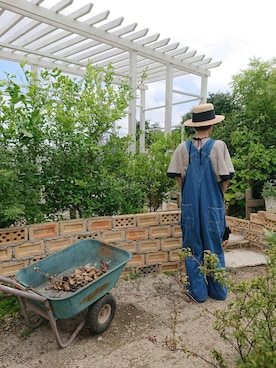 さくらんぼさんのコーディネート
