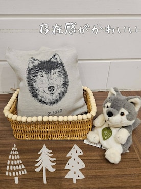 「アイテム（収納グッズ）」を使った、よっぴさん（レディース・160cm）の冬コーディネート