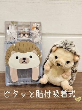 「アイテム（収納グッズ）」を使った、よっぴさん（レディース・100cm）の秋コーディネート