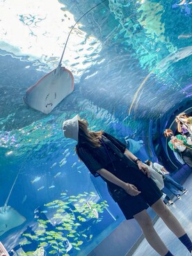 honasanさん(レディース・163cm)の夏コーディネート