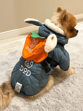 「アイテム（ペットグッズ）」を使った、sakusakuuuunさん（キッズ・124cm）の秋コーディネート