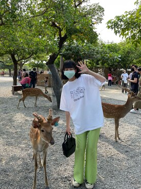 WUさんのコーディネート