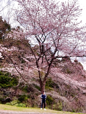 「桜満開🌸」｜怠惰ですけれども®︎さん（メンズ・170cm）の春コーディネート
