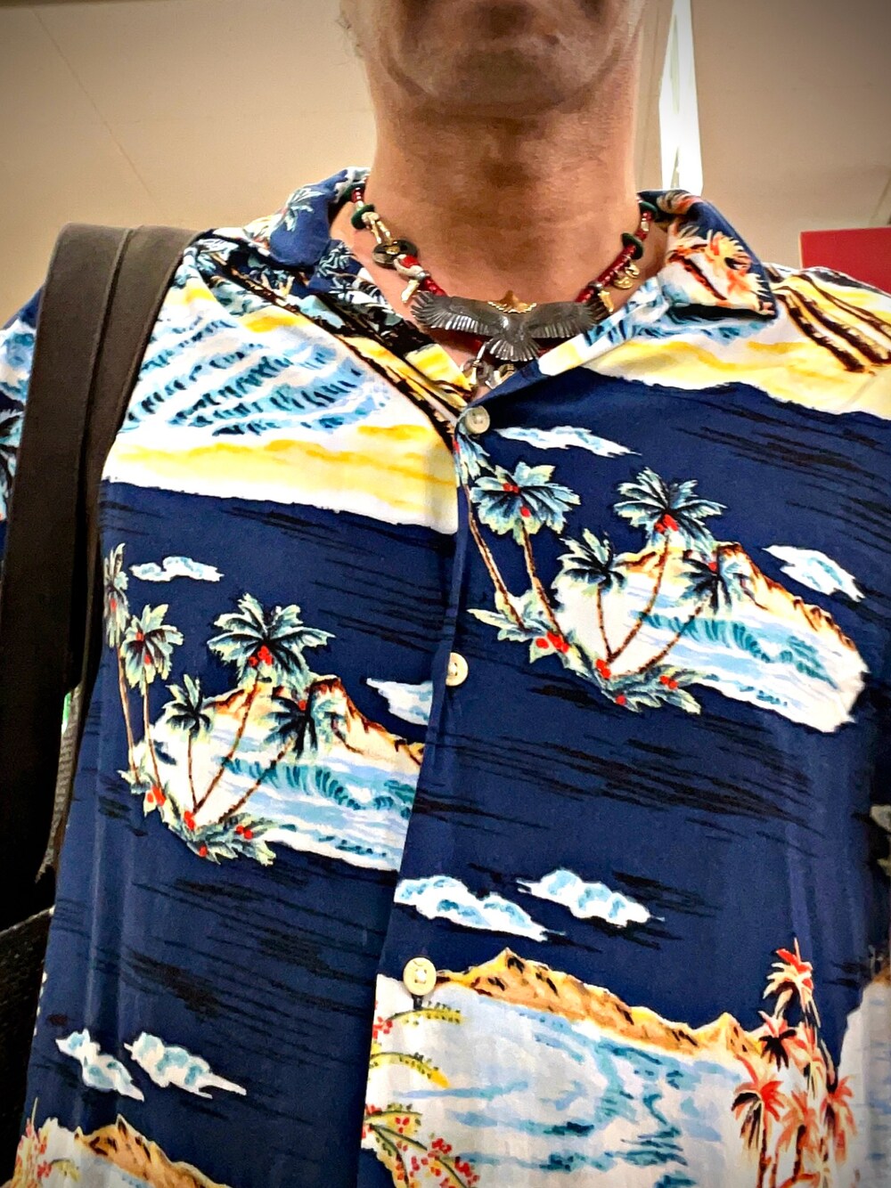 「vintage、大イーグル、アロハシャツ、お洒落さんとつながりたい、アメカジ、おしゃれさんと繋がりたい、今日のコーデ、ハワイアンシャツ、ゴローズ、タディアンドキング、goro's、tady&king」｜「VINTAGEのアイテム（シャツ/ブラウス、ブルー系）」を使った、怠惰ですけれども®︎さん（メンズ・170cm）の夏コーディネートの1枚目の写真