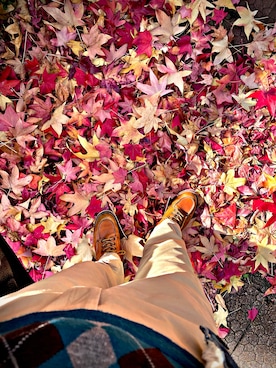 怠惰ですけれども®︎さんのコーディネート